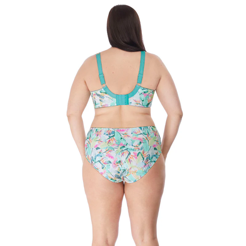 Mariella Full Brief Tropics Floral Print - Elomi - Image 4