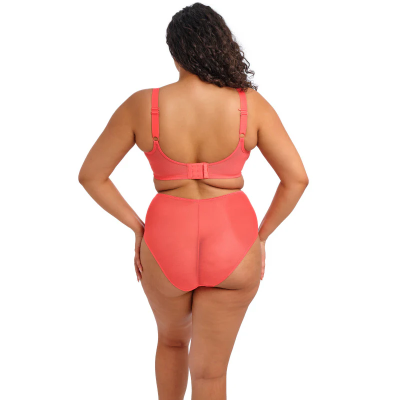 Matilda Plunge Bra Orange Sunset - Elomi - Image 3
