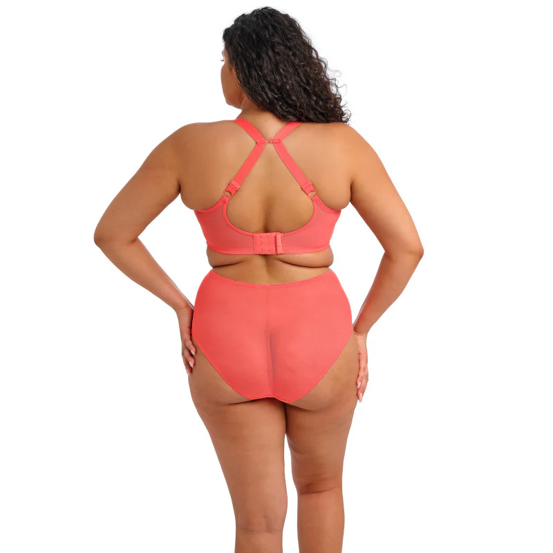 Matilda Plunge Bra Orange Sunset - Elomi - Image 4
