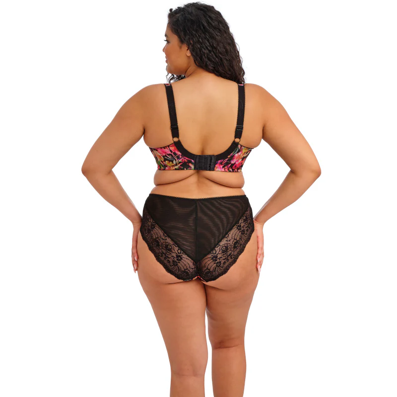 Morgan High Leg Brief Hot House - Elomi - Image 4