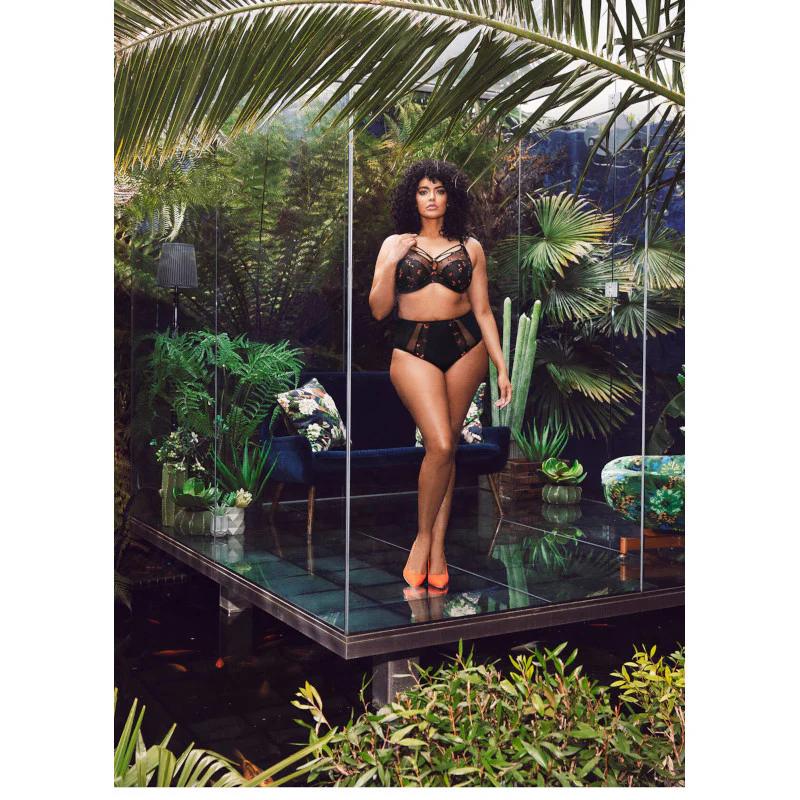 Sachi Black Butterfly Print Plunge Bra - Elomi - Image 4