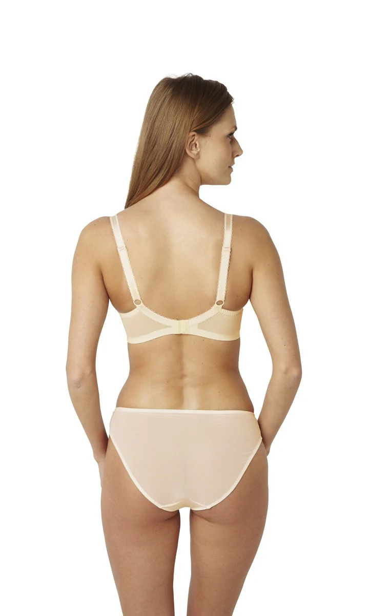 Clara Chai Nude Brief Panty - Panache - Image 4